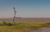 Lake Langano